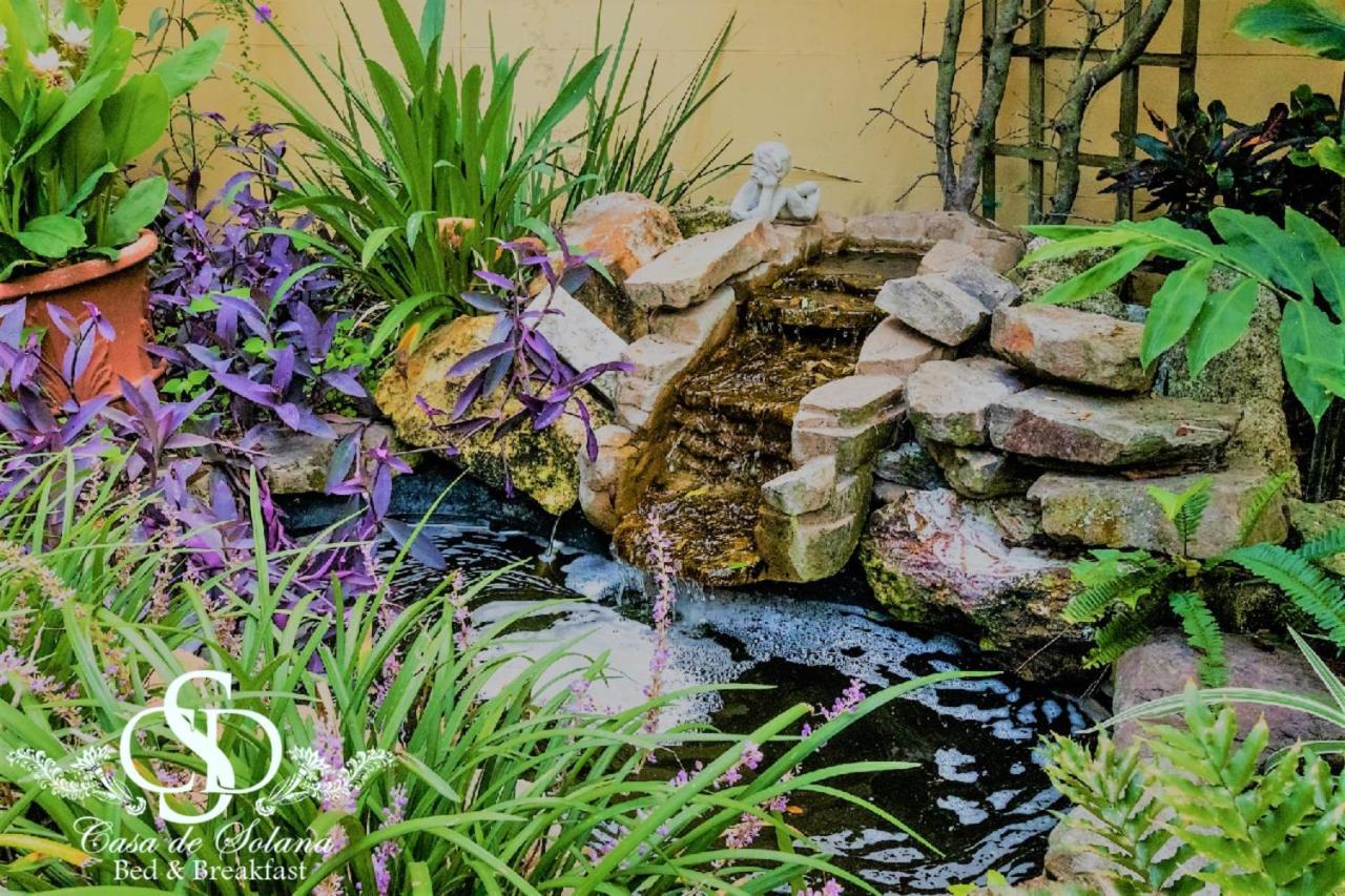 Casa De Solana Bed And Breakfast St. Augustine Bagian luar foto